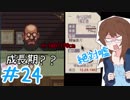 【日刊】入国審査官になって密入国者を見抜け！『Papers, Please』24日目【女性実況】