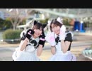 【にあいこーる≒】すーぱーぬこわーるど　踊ってみた【祝♡２周年】
