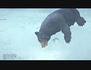 [The Long Dark] 地図職人を目指して Part17[ずんギャラ]