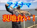 【現地食い】あの方達と！アメナマ釣りに行ってみた！後編【もっち釣動組合♯４３】