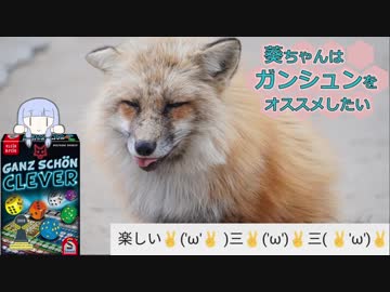 葵ちゃんはGanz Schön Cleverで遊びたい