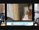 000 コメント返信 第2段 ゆっくりオフィス雑談
