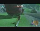 【実況】完全初見のゼルダの伝説ブレスオブザワイルドpart27