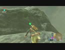 【実況】完全初見のゼルダの伝説ブレスオブザワイルドpart28