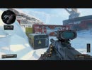 【COD BO4】装備頼りの対人戦101【TDM】