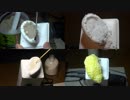 【ASMR】色んな物を耳に乗せて触ったり取り除いたり / 比較音声【音フェチ】