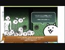 あの枠【2019/01/31】