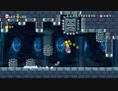 【協力実況】New スーパーマリオブラザーズ U デラックス part10