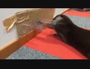壊しちゃった。。