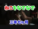 3年7か月かけて野良猫がなでさせてくれた。