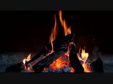 薪が燃えるだけの動画