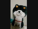 秋シロYouTube配信スタートしました。