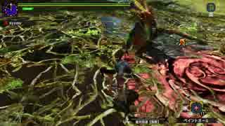 【MHXX】集会所☆４ ドスマッカオ捕獲戦（遺跡平原） 裸ハンマーぼっち縛り上位Part４