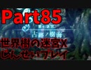 【シリーズ未経験者にもやさしい】世界樹の迷宮X　人生縛りプレイ part85