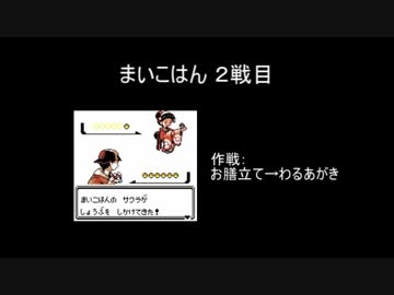 ポケモン第二世代『経験値取得禁止縛り』Part3-6 バトルまとめ