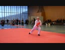 武道ヨーロッパ  太極 Douwe Geluk 太極, 太極拳  Tai Chi Chuan Martial Arts Brussels Competition 2019