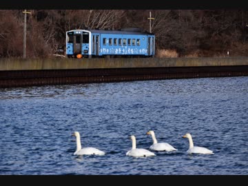 【のら】2018-2019 北海道鉄道撮影旅行 part 02 ～花咲線での撮影～