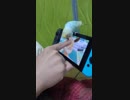ポケットモンスターセキセイ