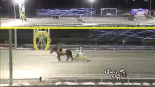 【連勝新記録樹立！】2019年2月16日帯広競馬11R B1-1 ホクショウマサル