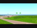 【5日連続投稿】緑道／flower 5/5