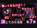 【第7弾 囚われの館 #3】小さい住人が犯人！犯人はアイツだった！！