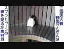 三国志大戦 傾国ぺんぎんはスプラトゥーンの夢を見るか 第94羽 (vs群雄騎馬単ケニア)