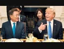 【韓国崩壊】米国「韓国のレーダー照射は現在の情勢にマイナス、北朝鮮に対する認識もおかしい」全韓国国民盛大に火病（笑）