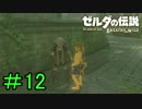 【実況】見落としが多い勇者の冒険part12【ブレスオブザワイルド】