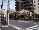 【写真】足立区～八潮市　小さな旅