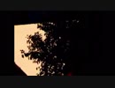 【210。】celluloid【歌ってみた】