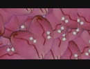 パップラドンカルメシーンチェンジBB