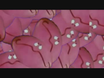 パップラドンカルメシーンチェンジBB