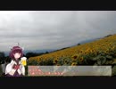 きりトリ day6　【東北きりたん車載】