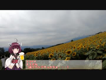 きりトリ day6　【東北きりたん車載】