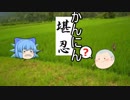 （海賊版）【ゆっくり文庫】 番外編「動画制作について」