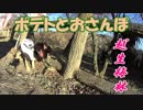 ポテトとおさんぽin越生梅林2019【地元地域旅】