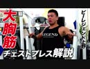 【胸トレ】大胸筋に効果的に効かせる！チェストプレス解説【ビーレジェンド鍵谷TV】