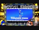 ロックマン11　運命の歯車!!　エキスパートその4　ツンドラマン（ゆっくり実況）