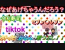 【なぜあげちゃうんだろう？？】バカッターやtiktokについて切り込むｗ【タトイヒとカナンの暇つぶし】