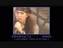 世界が終るまでは・・・　WANDS 【 LIVE-JUNK#2 】