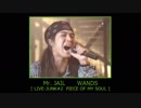 Mr. JAIL　WANDS 【 LIVE-JUNK#2 】