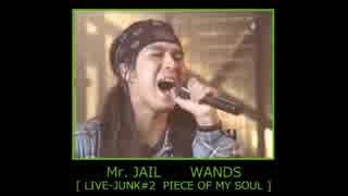 Secret Night ~It's My Treat~ WANDS 【 LIVE-JUNK#2