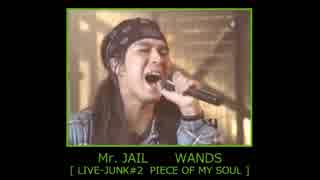 Mr. JAIL　WANDS 【 LIVE-JUNK#2 】