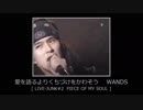 愛を語るよりくちづけをかわそう　WANDS 【 LIVE-JUNK#2 】