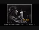 WANDS  LIVE REPORT '95
