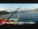 【かーびーの釣り日記】三重の堤防でウツボを狙ったけどアジとイカしか釣れなかった!2017年11月