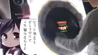 チルノのパーフェクト算数教室⑨周年 芸人枠（白目）