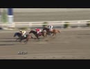 2019年2月17日高知競馬3R 高知では２回目の協賛 天使のささやき２特別(C2-5組) ビービーロンギング