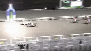 2019年2月17日高知競馬8R 高木瑛士・正貴協賛 高木瑛士誕生日特別(C2-2組) エイシンフランキー