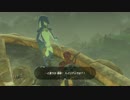 【実況】完全初見のゼルダの伝説ブレスオブザワイルドpart29